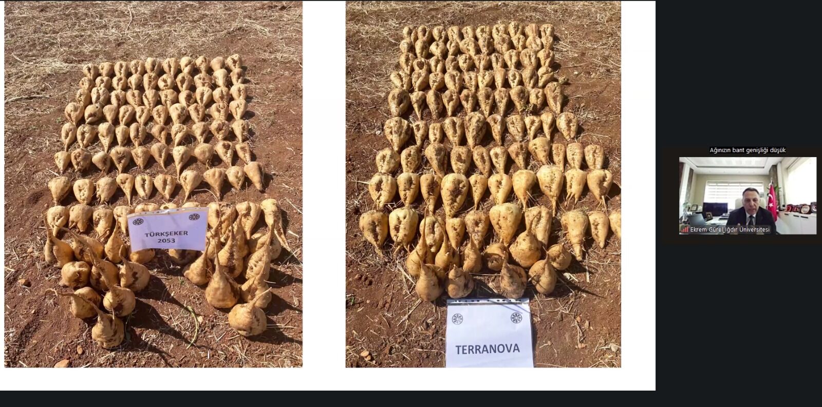 C6154Eb2 214D 4626 A907 3E7047839188