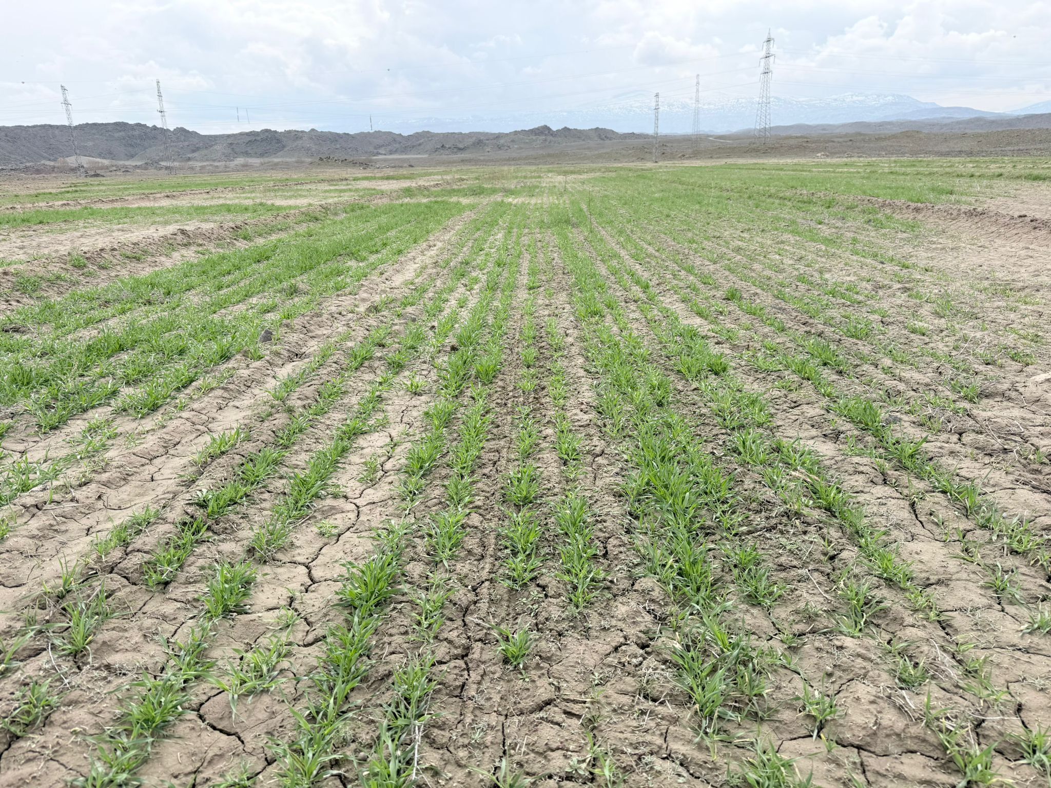 C64299B1 6B09 45Df 82C2 23F678Ad7699