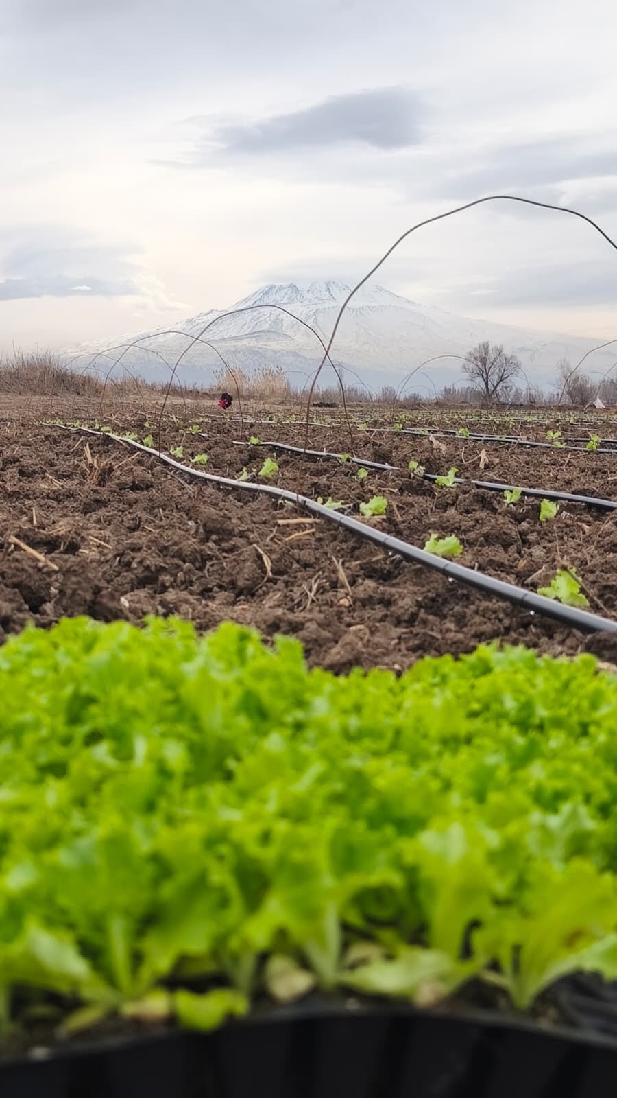 E1419C46 928F 440C 87Ba 4Ffca0C10Efa