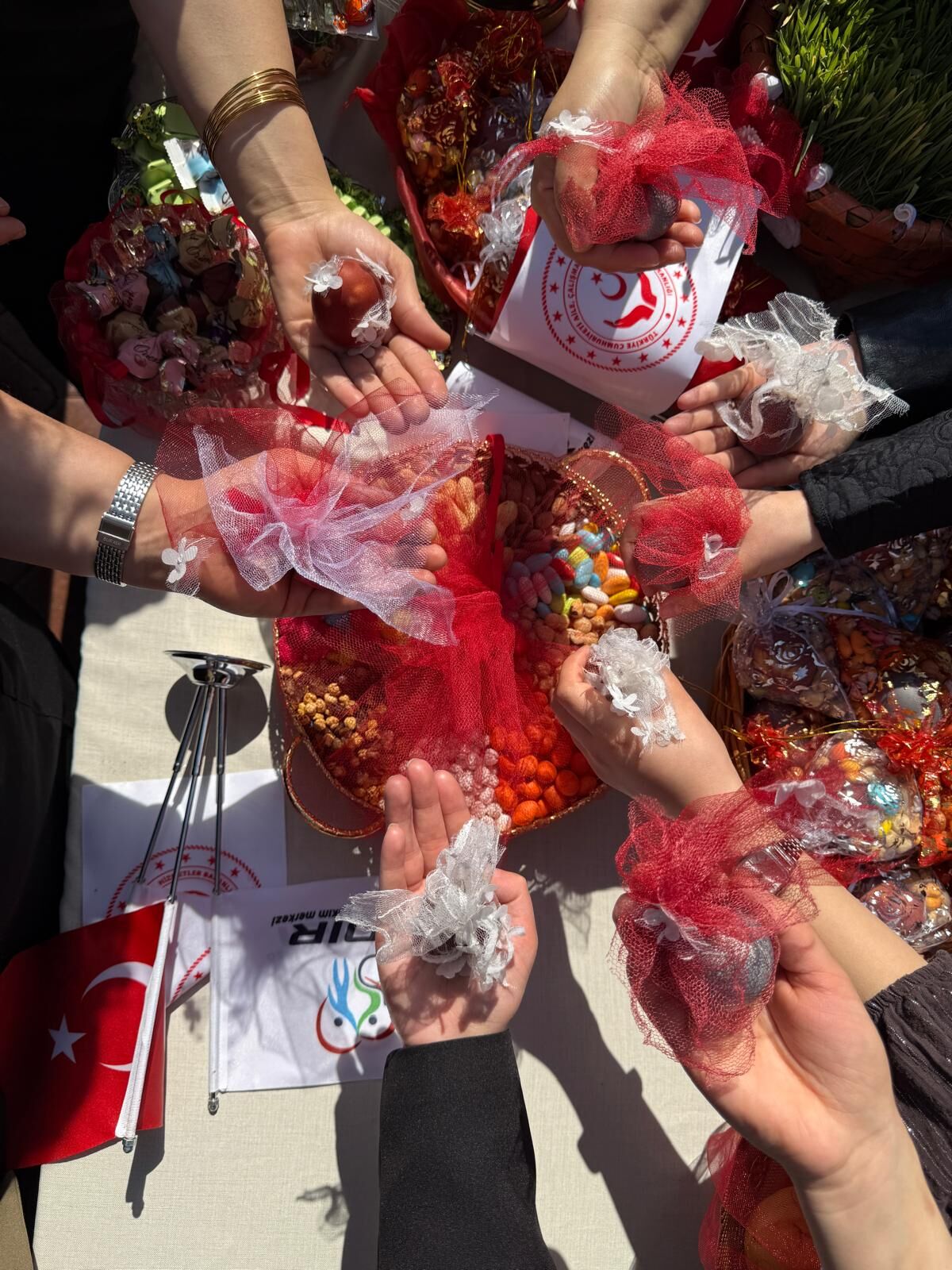 E89952D7 79Cc 4043 9Aa8 82362B2E7Eff