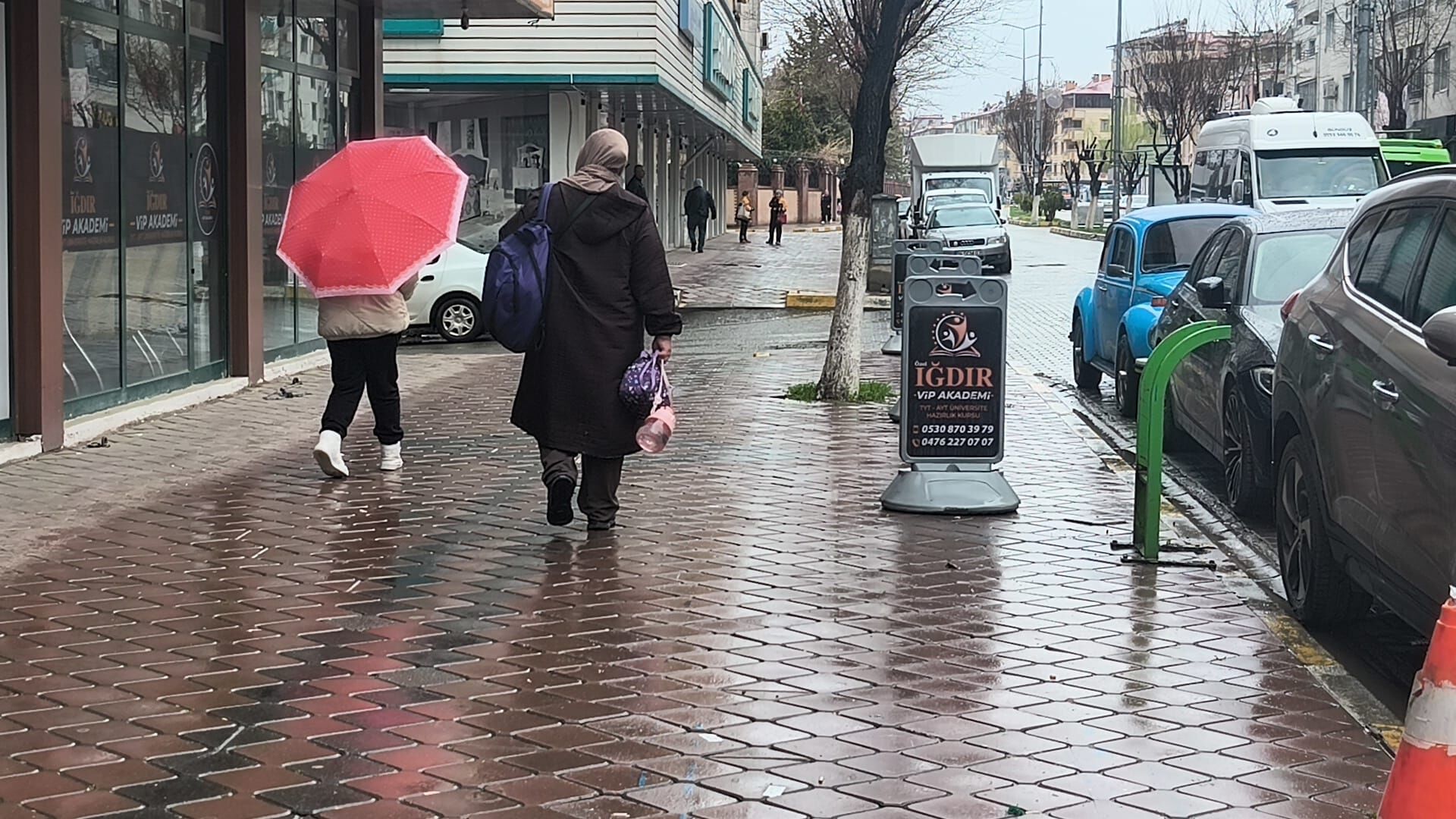 F4F99B22 643C 4432 Ad2D C272Df802425