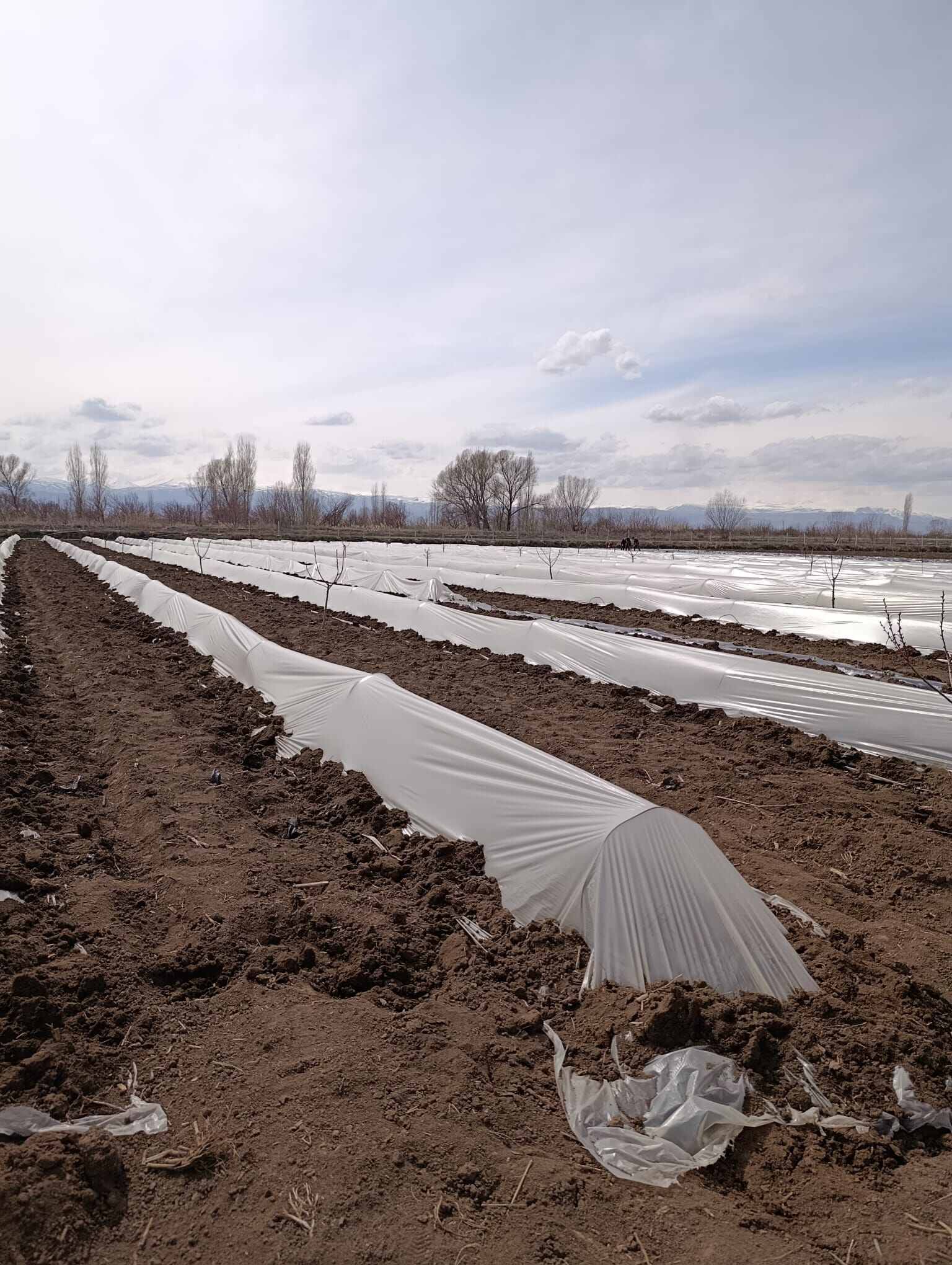 Whatsapp Image 2026 03 25 At 09.18.17 (3)