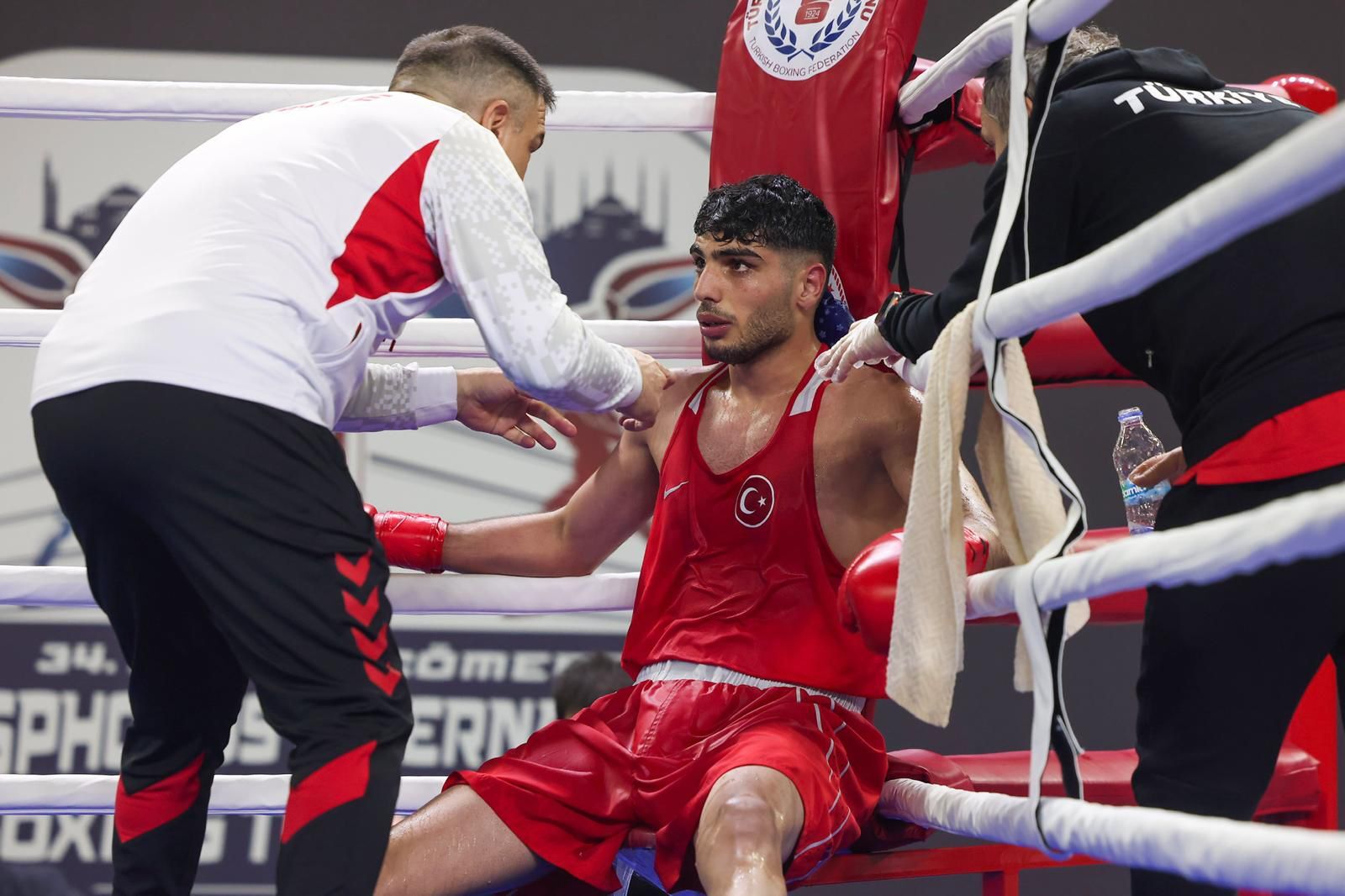 04D8854B 9B7F 4233 B3Fd A50C2B5E82E5