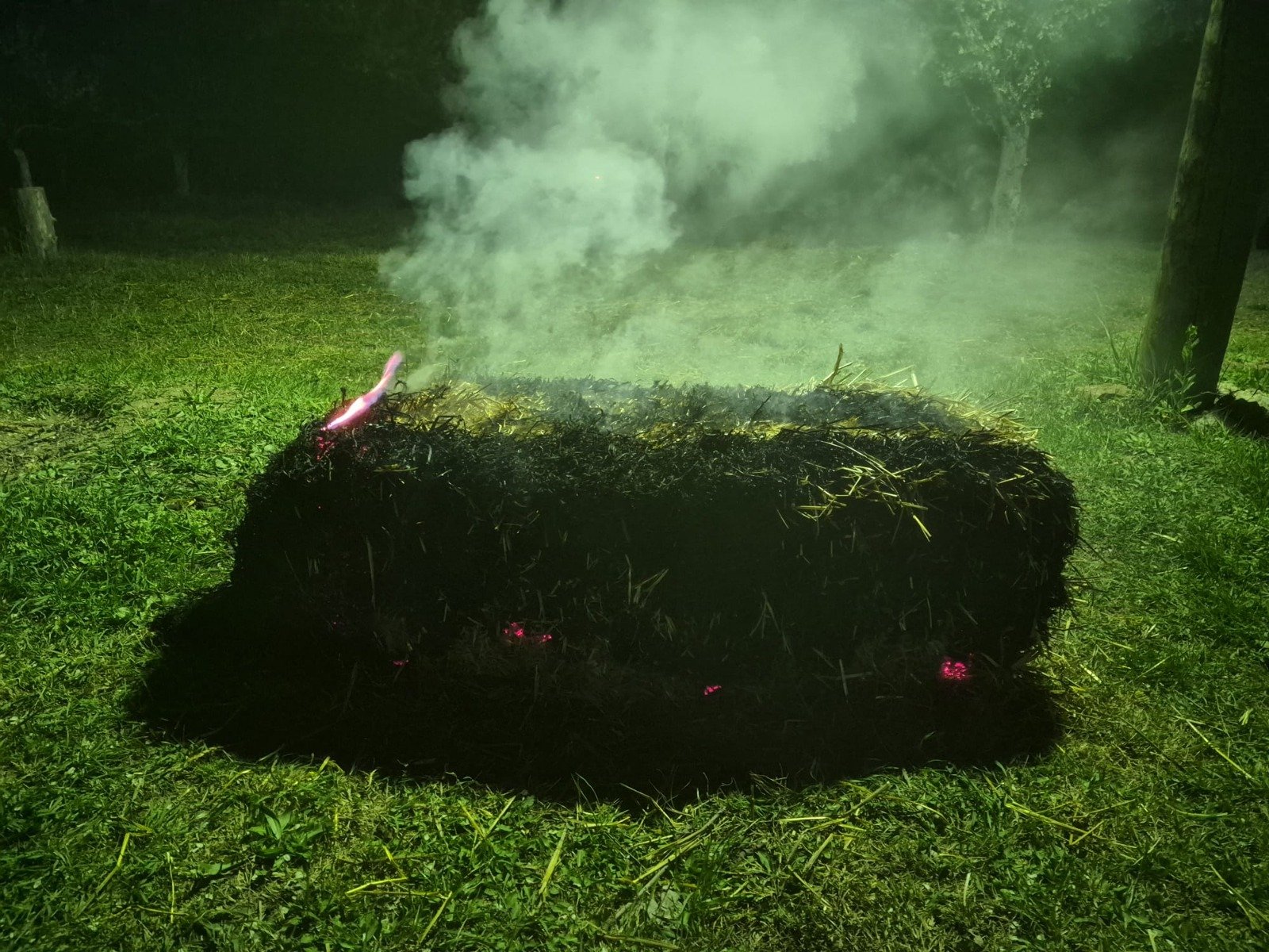 0639D08E E9Ea 400C A817 6C2087301E2F