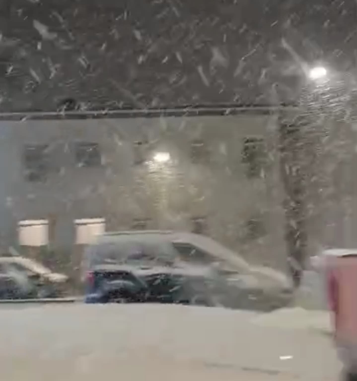 129Ff3F8 Db33 4Cd1 9929 F7795748A807