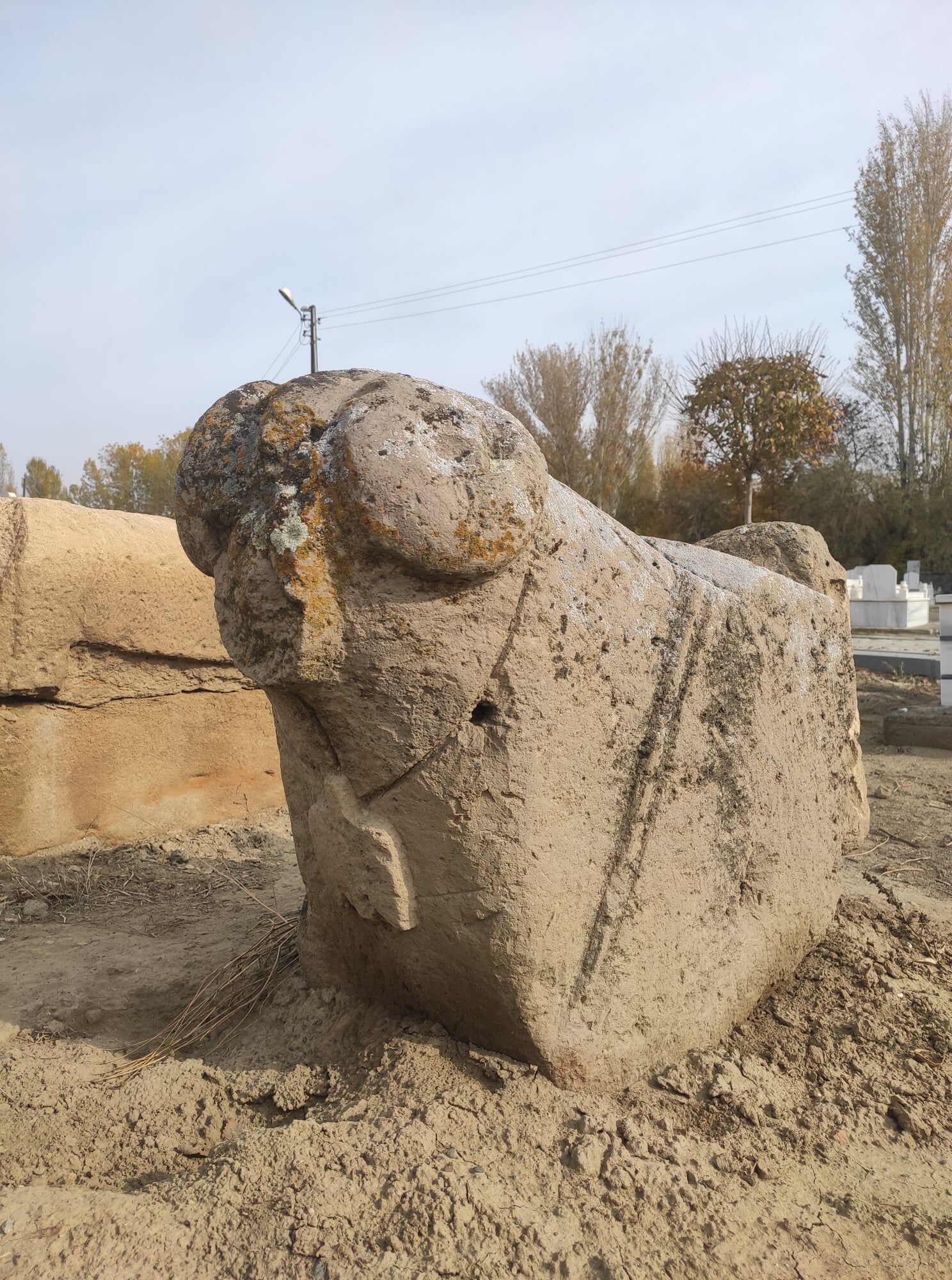 149442499 3906600826057596 1142777841893866612 N