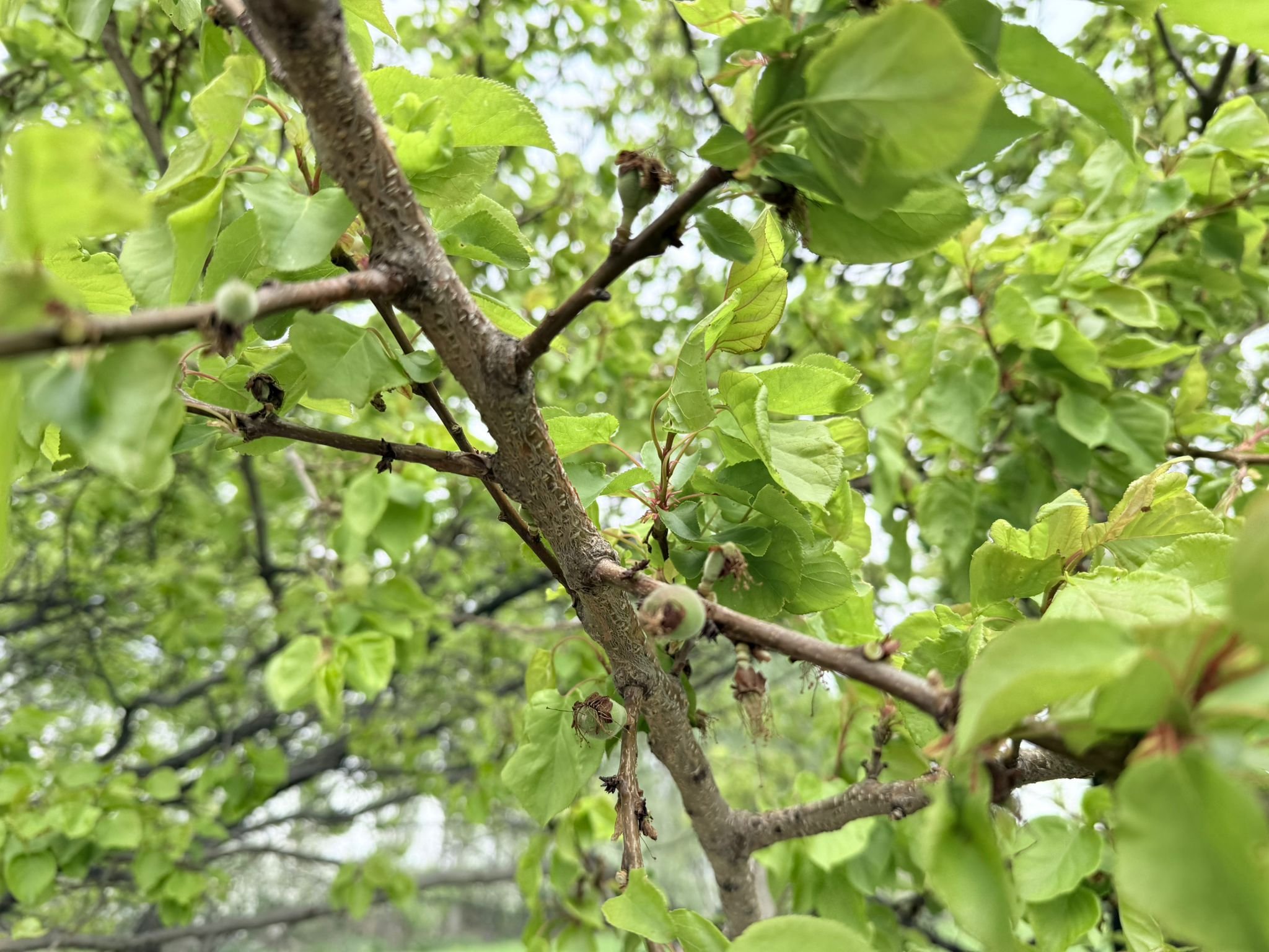 1Afd12Fb Ebec 4Fb1 A428 581B2F033557