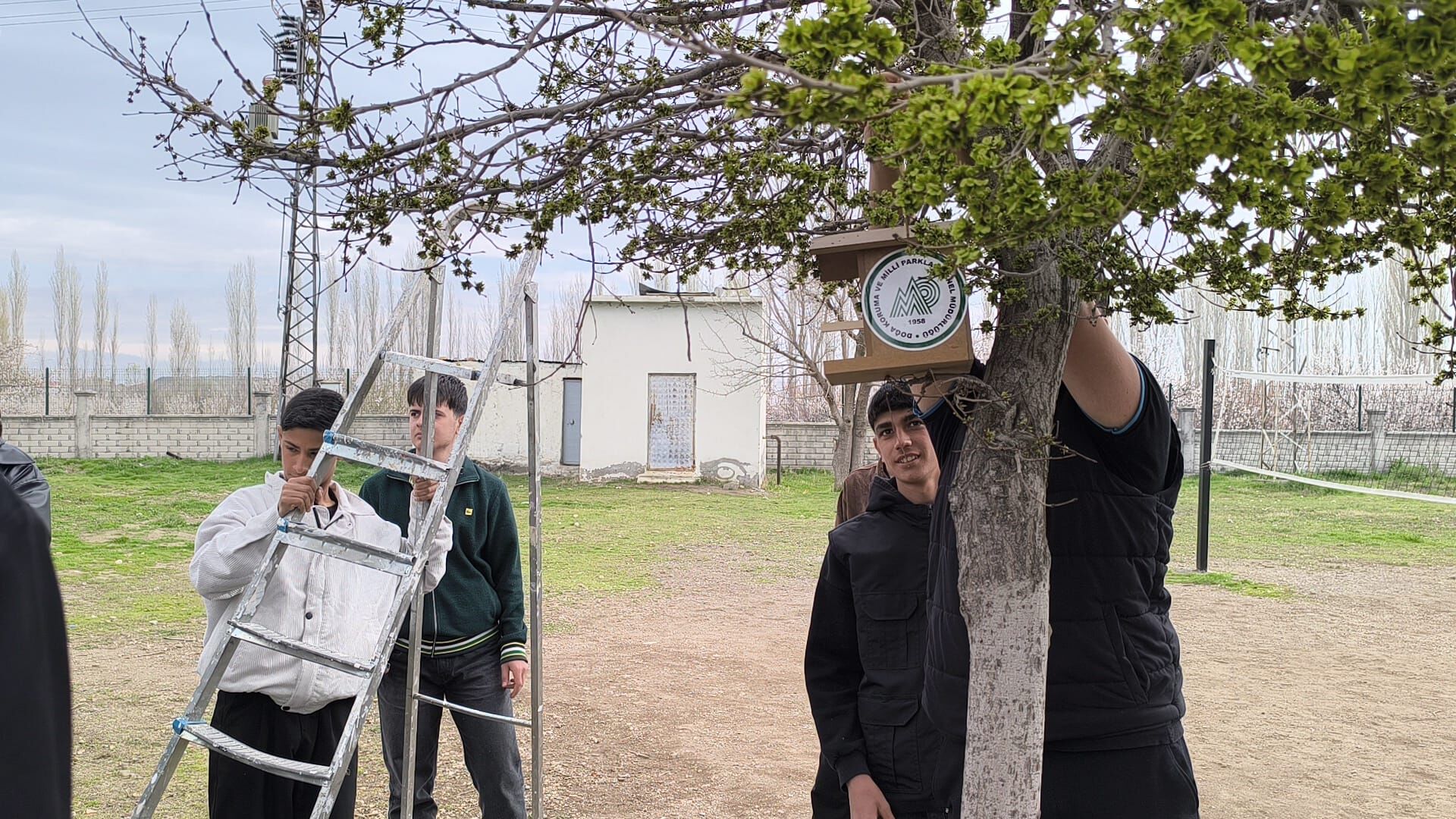 466446Dc Aa5D 4E07 A522 6Bb454937D42