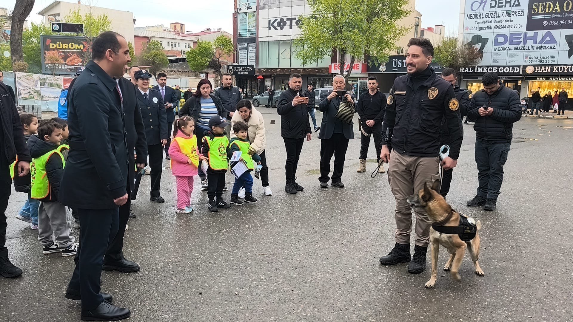 46A49F12 F3C2 4763 A478 4146C0F403Be