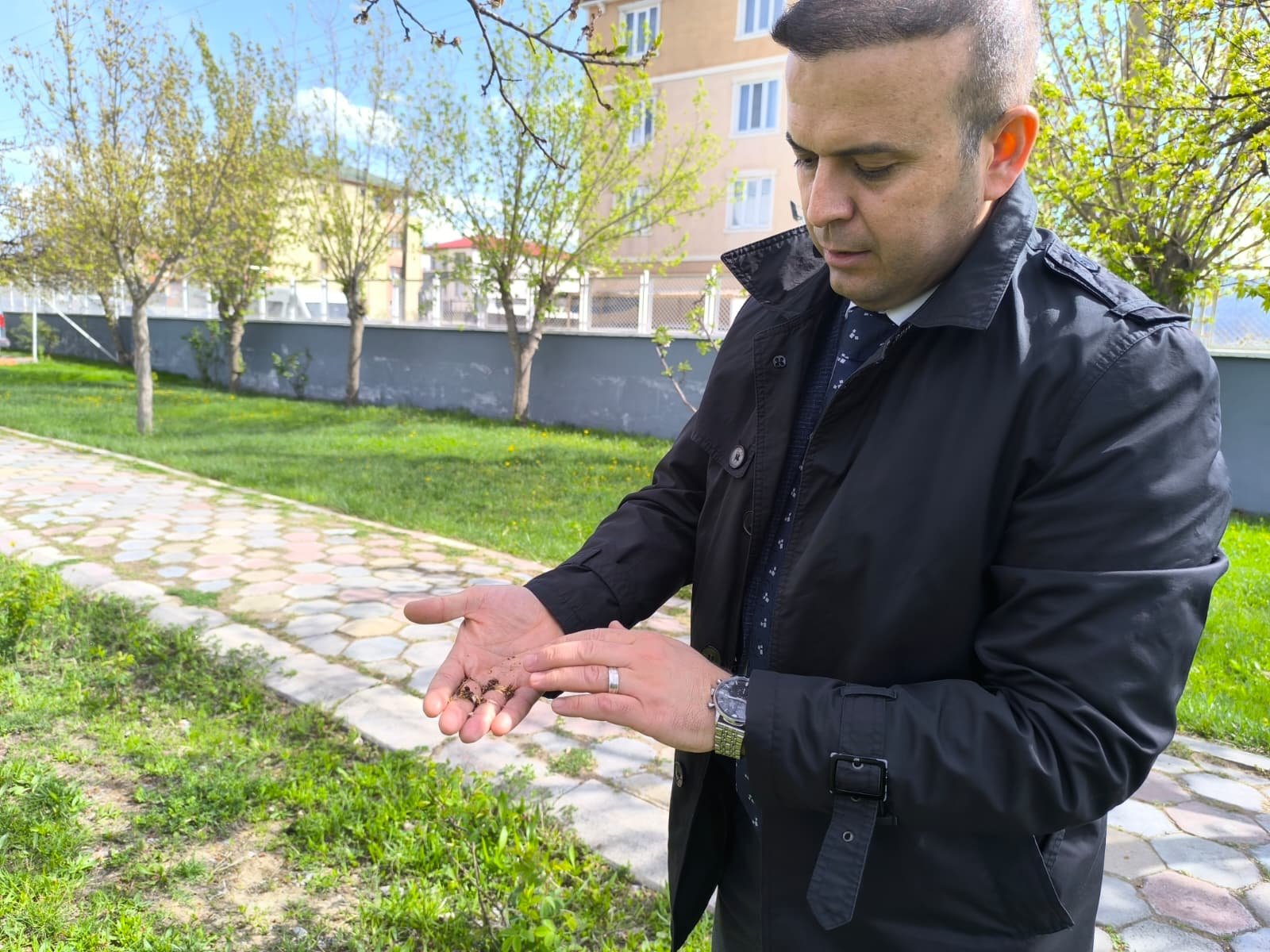 53214D28 9C57 46E1 9Edb C7D53837F377