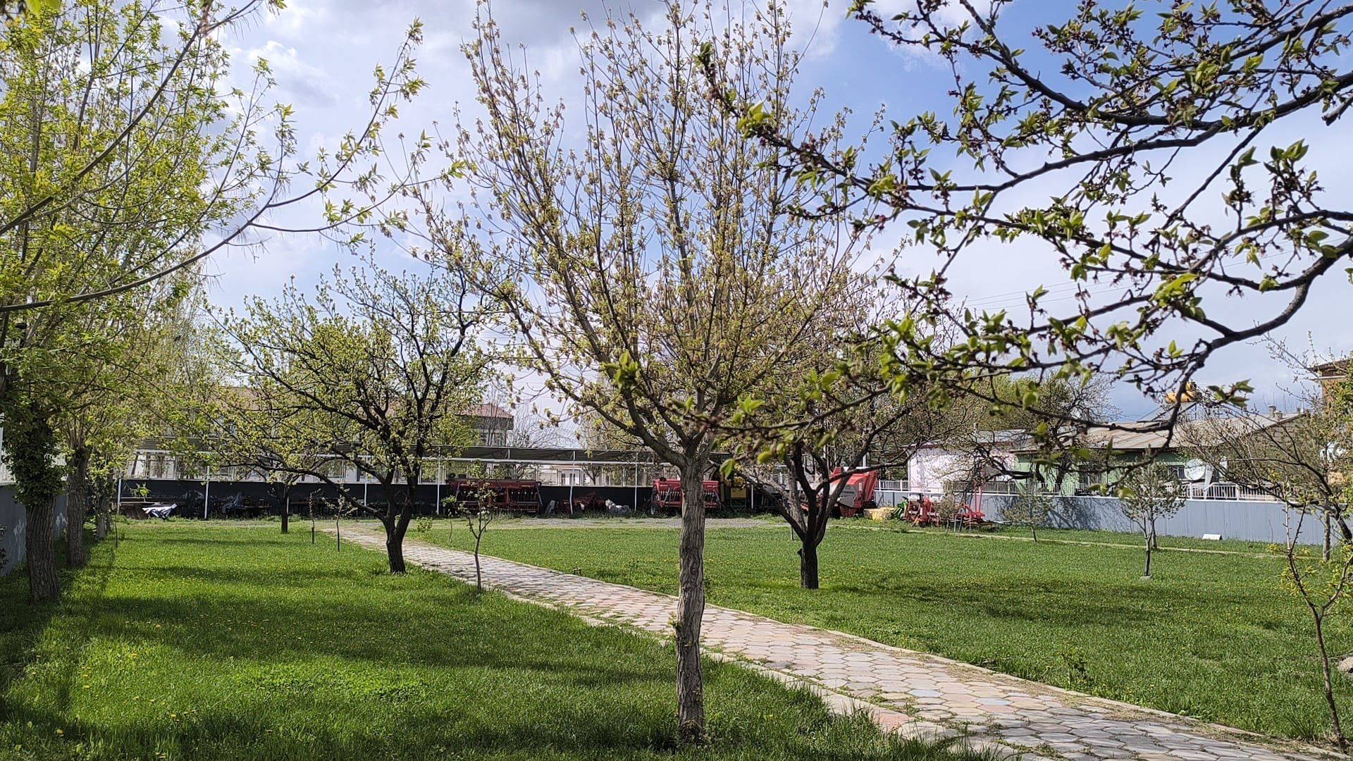 7179D544 8499 44Fe 8075 0C86E8449126