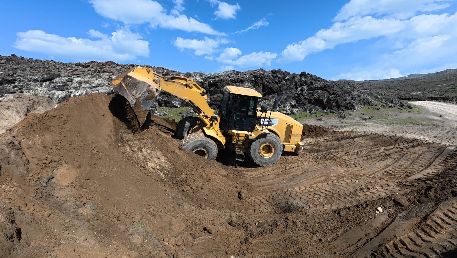 7F5A0Dae 0568 4351 8A4E Cd1D1C3Ba134