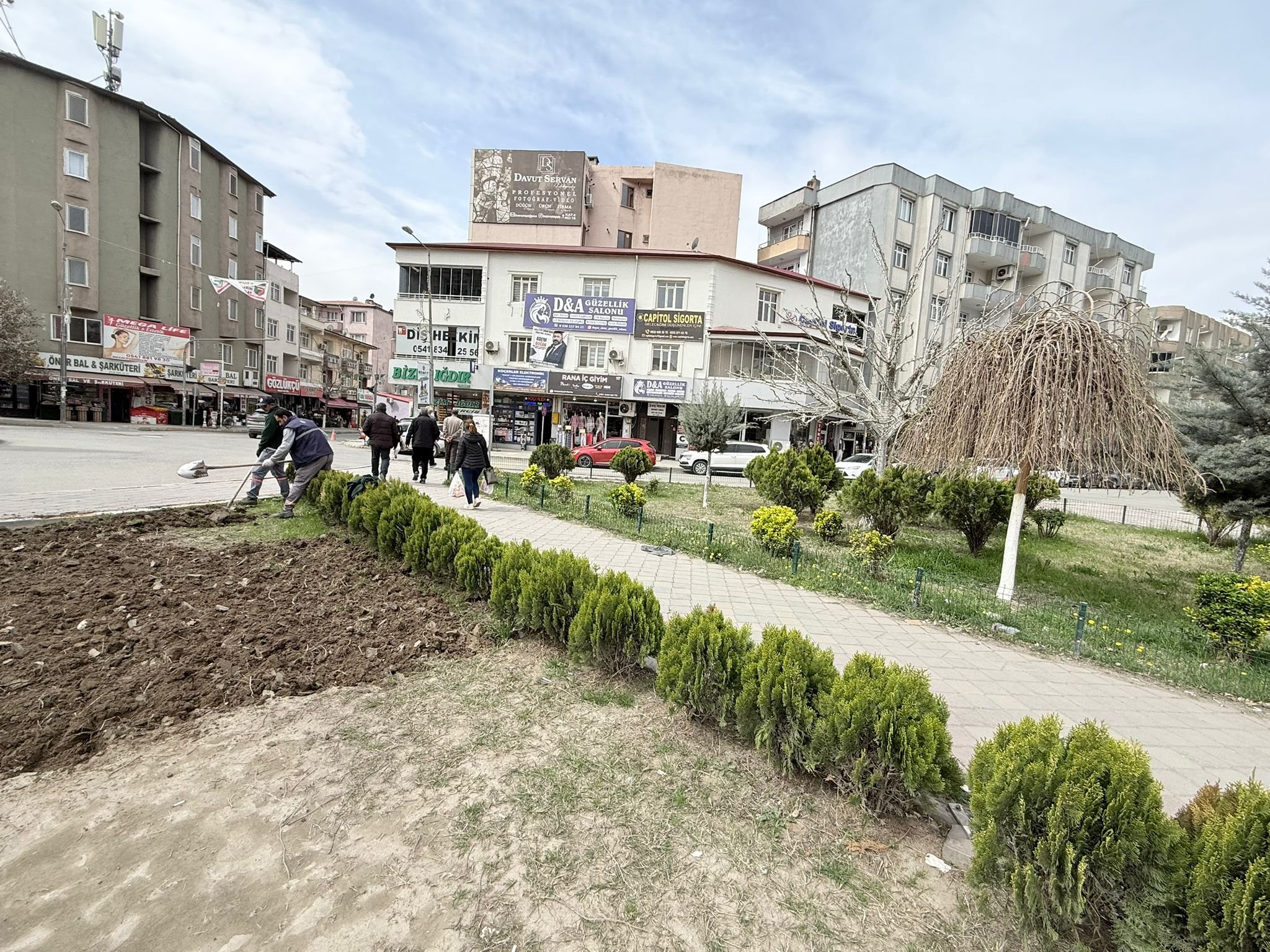 8Ce65194 Df49 4E29 B3B5 604Ee4De0A81