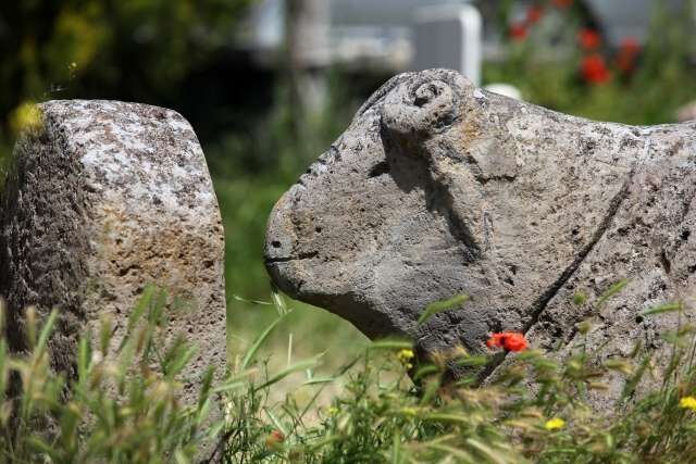 92995908 3065656533485367 5252362536170291200 N