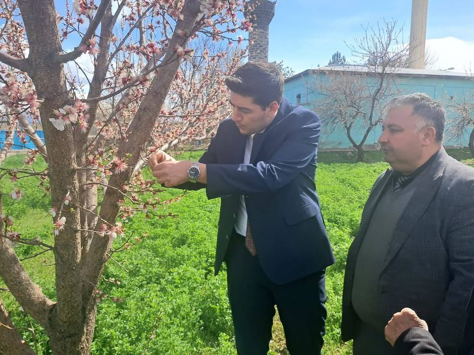 A2A4E0E4 A86C 47A8 8879 3F144543Fde1