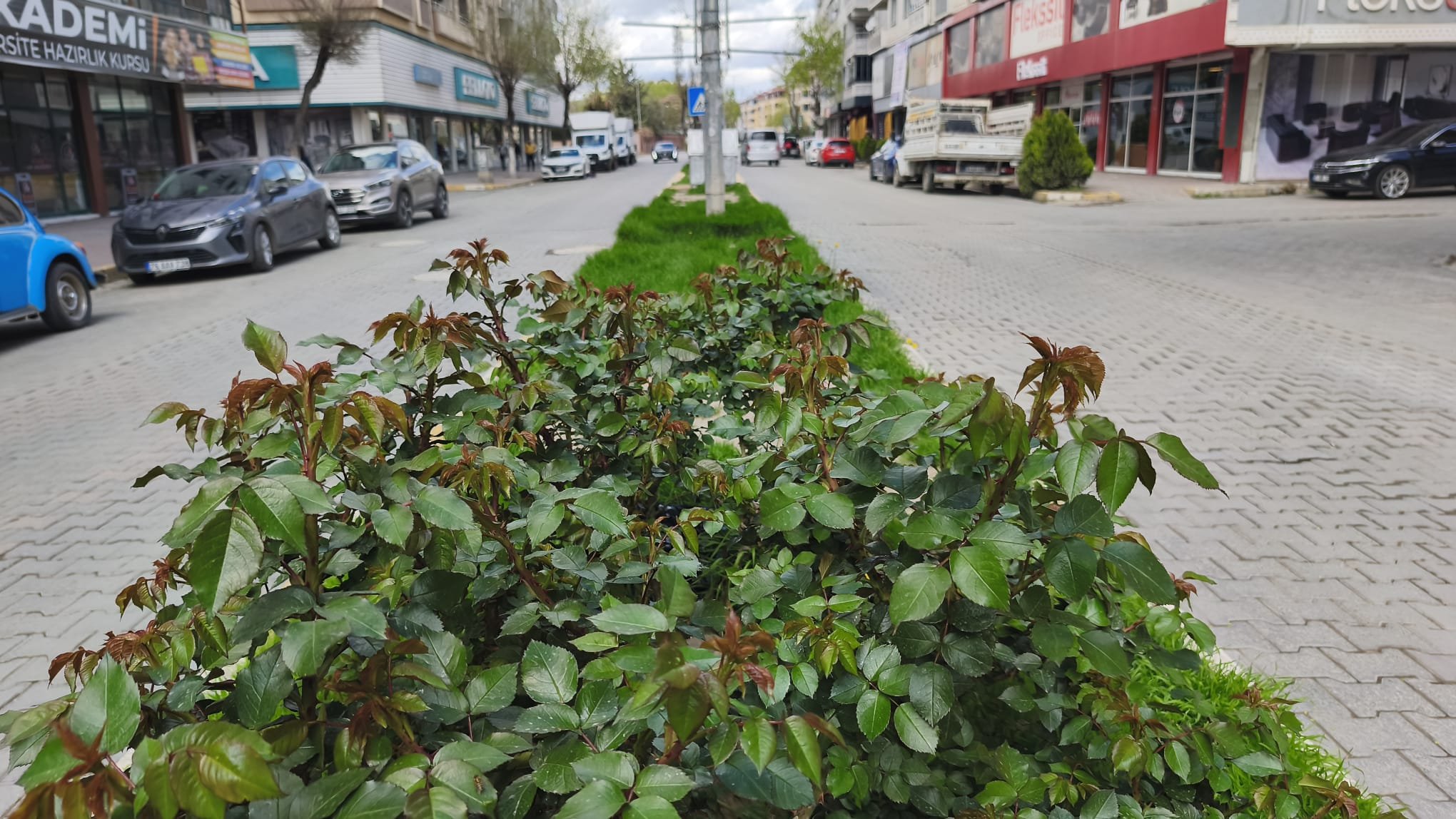 Ed2F3D50 27F3 4Adf Bece 00657B8427A9