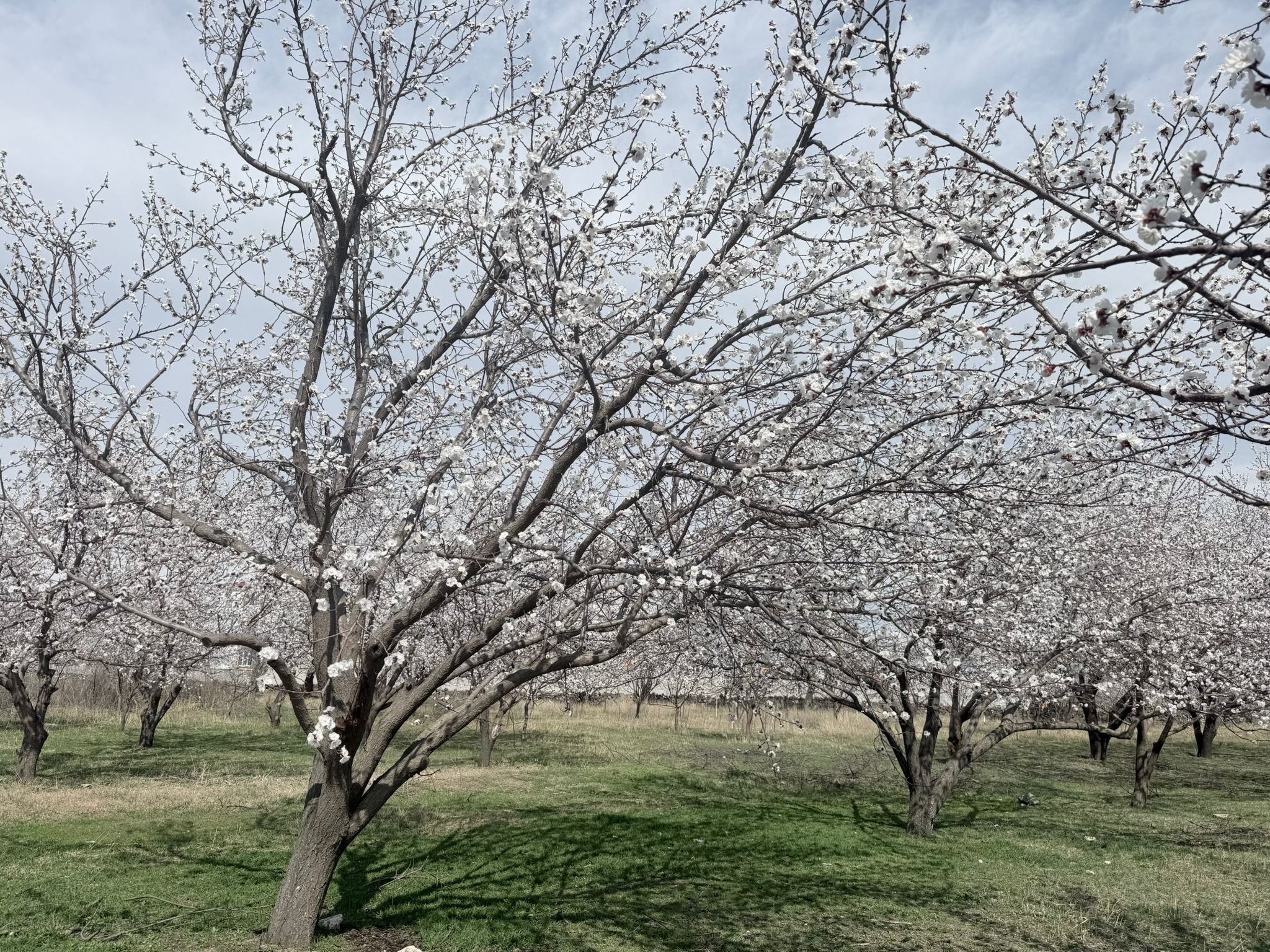 Eec75D95 6394 40B9 B4F3 F0D42E184Ffc