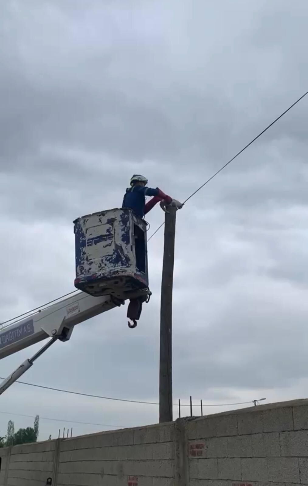 Iğdır Karakoyunlu’da Can Pazarı: Direkte Mahsur Kalan Kediyi Ekipler Kurtardı