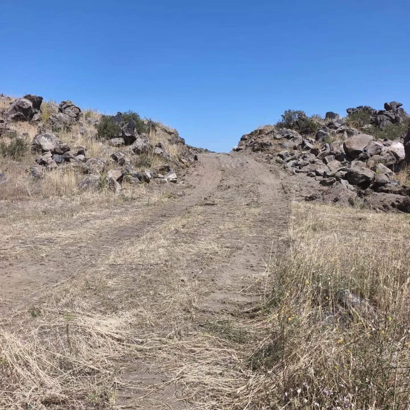 783012262 2752211978483710 8401943697740262993 N