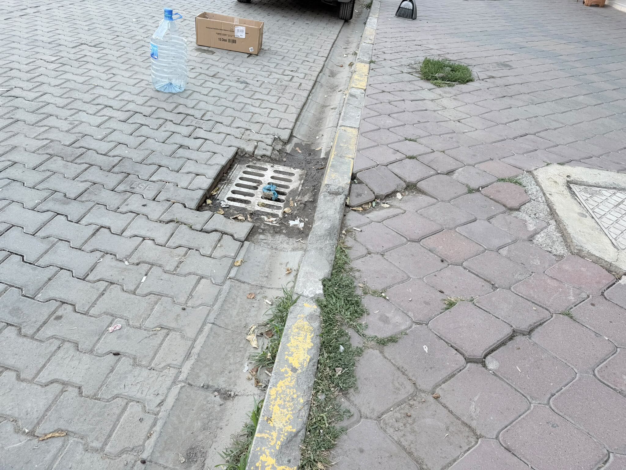 Whatsapp Image 2026 08 16 At 15.10.42 (2)