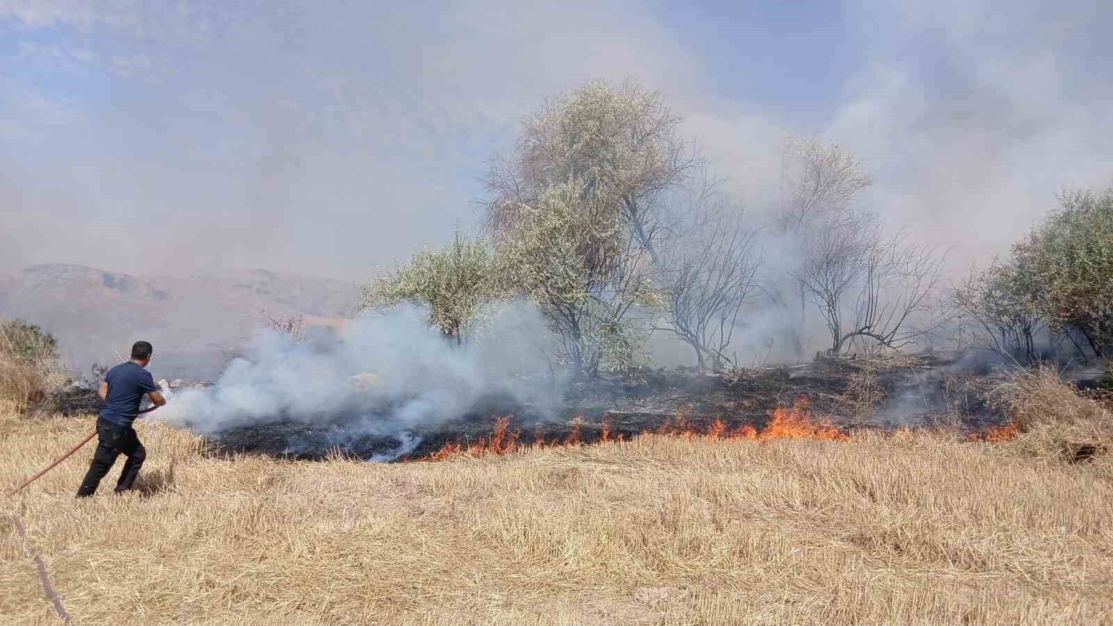 150 Dönüm arazi yandı