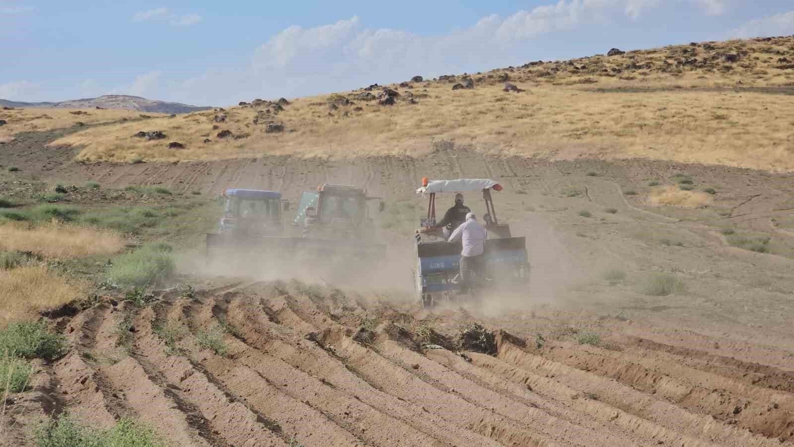 Buğday ekim sezonu başladı