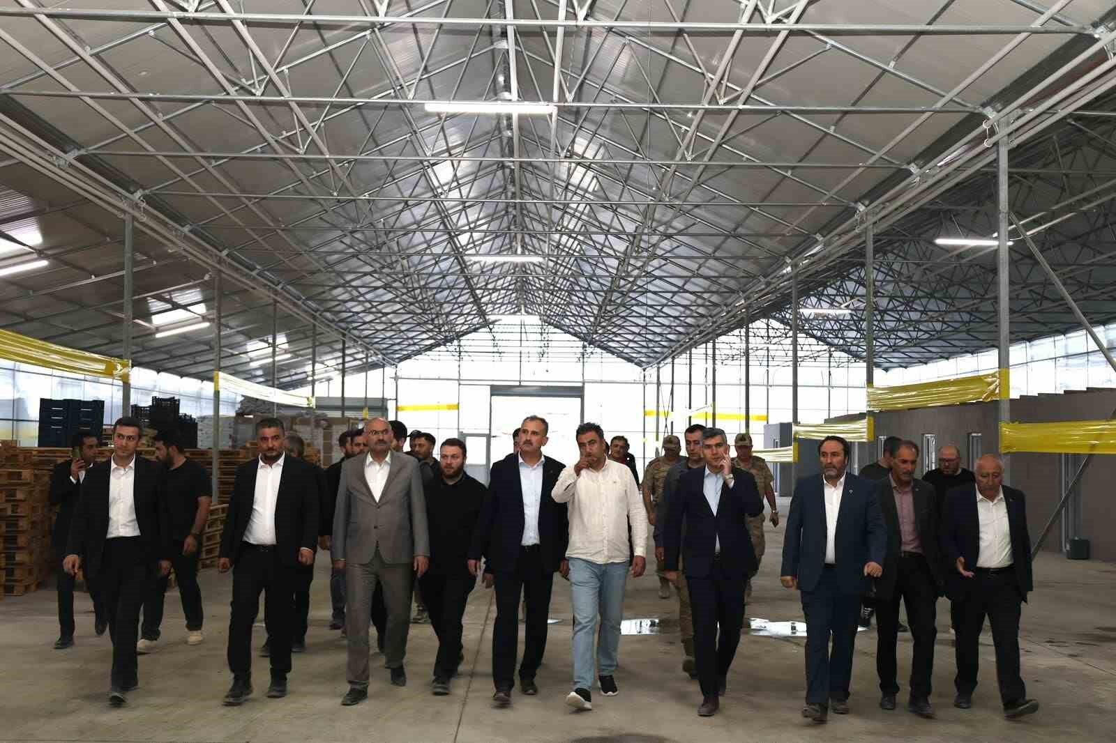 Vali Bozkurt, Diyadin Jeotermal Sera OSB'de incelemelerde bulundu