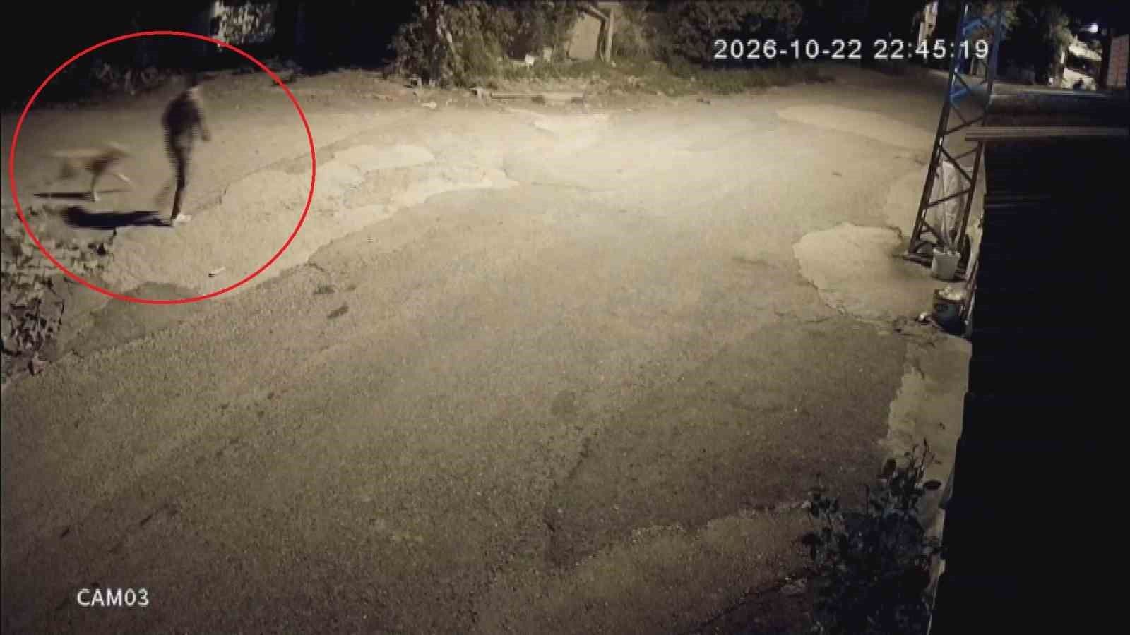 Motosikletle gelip köpeği çalan hırsızlara sitem: 'Köpek çalmak nedir'
